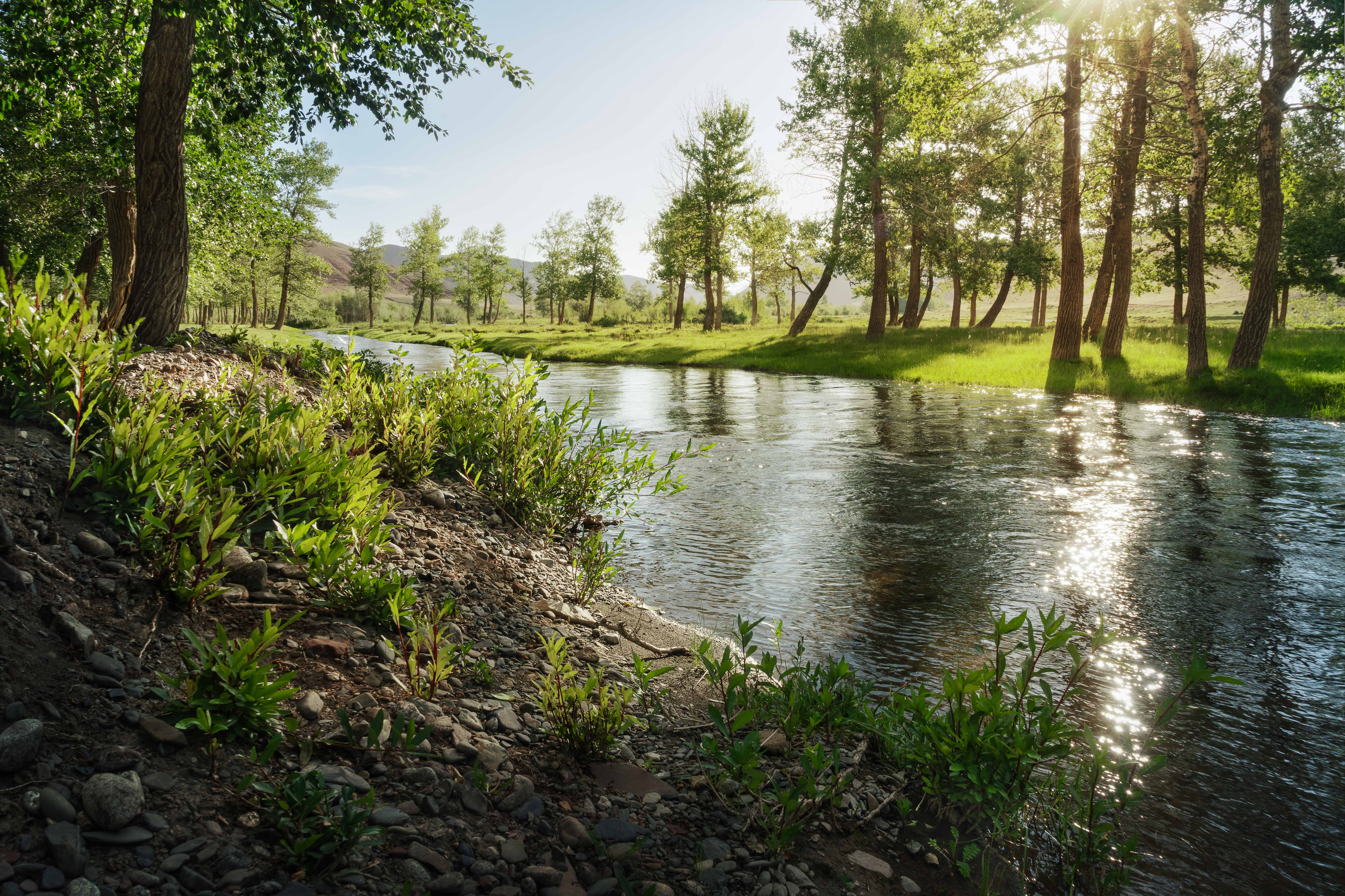 В теплых лучах июля…  In the warm rays of July...photo preview