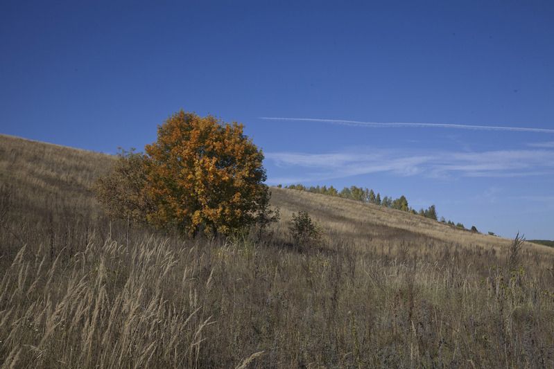 осень Сентябрьphoto preview