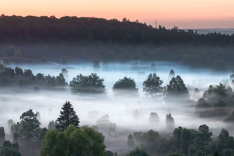 Lüneburg Heath, Germanyphoto preview