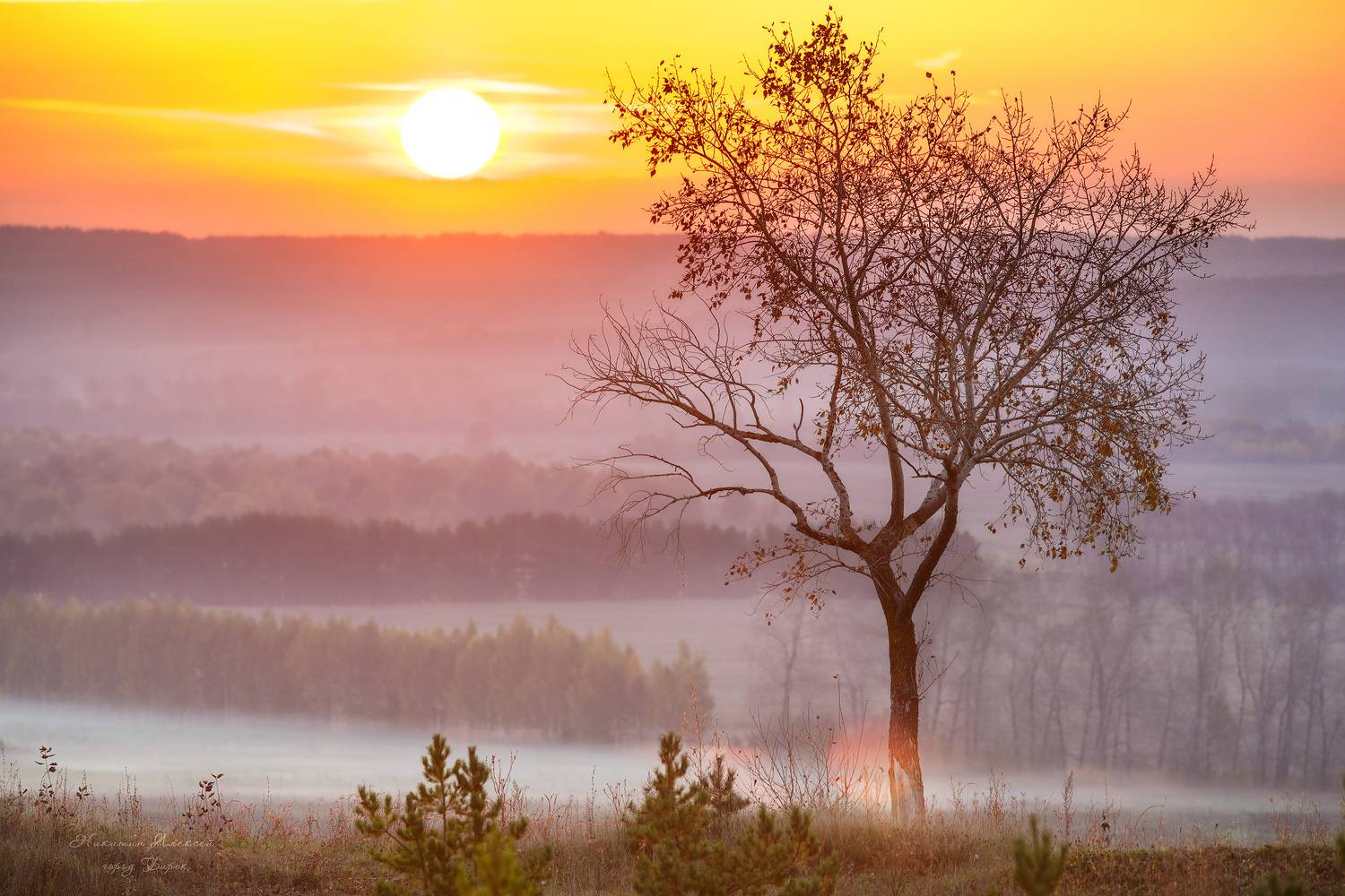 , Никитин Алексей