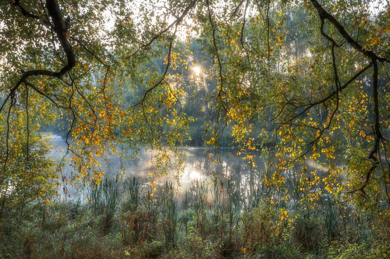 природа, пейзаж, осень, окно в осень, Московская область, пейзажная фотография Сентябрьphoto preview