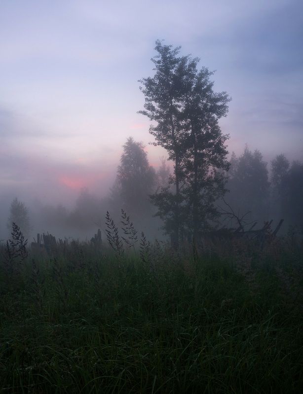 туман, свет, вечер, природа ***photo preview