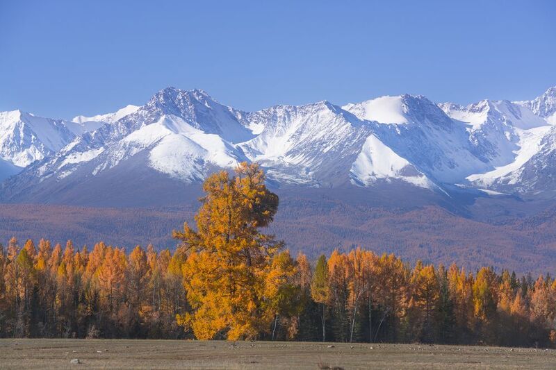 россия, горный алтай, осень На фоне горphoto preview