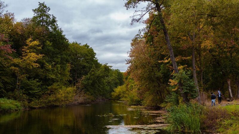 Осеньphoto preview
