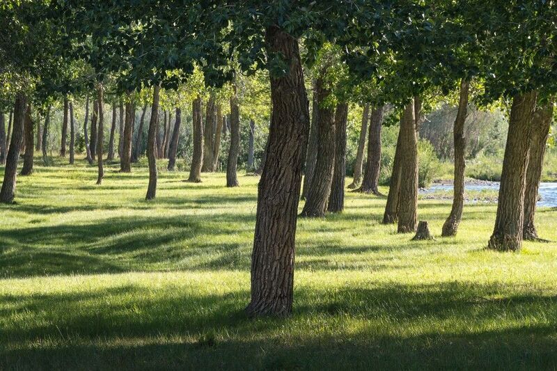 В теплых лучах июля… In the warm rays of July...photo preview