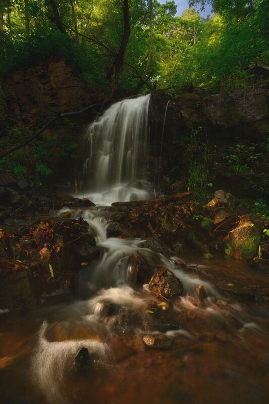приморье Лесными тропами.photo preview