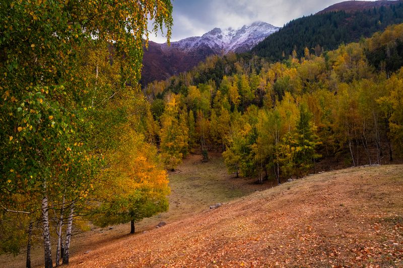 кыргызстан, ала-арча Палитра сентябряphoto preview