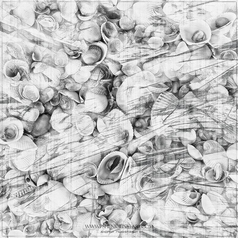 ракушки, волна, лето, море, абстракция, минимализм Морская гравюраphoto preview