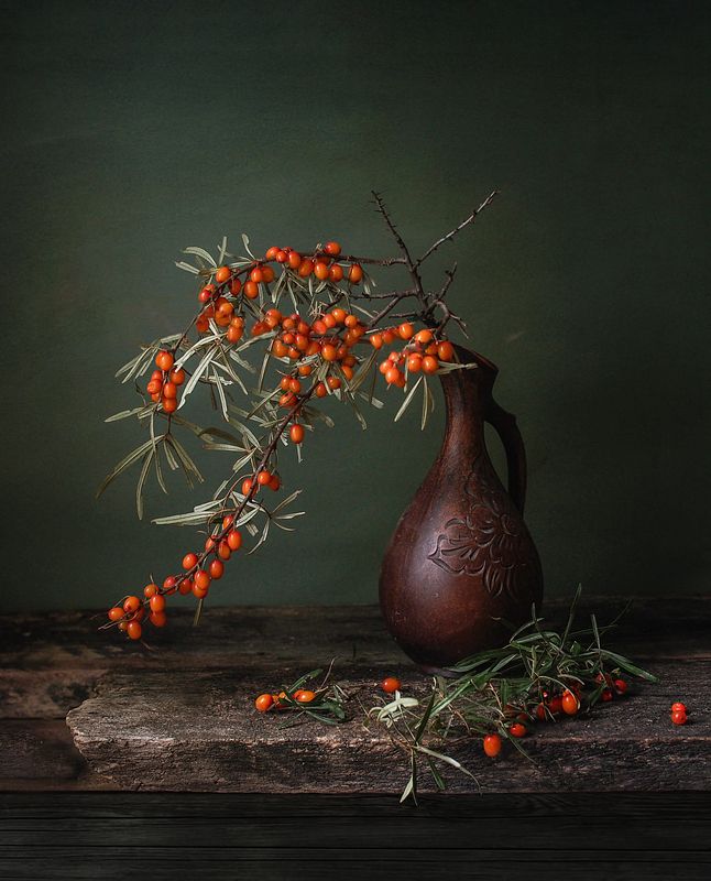 Облепила облепиха.photo preview