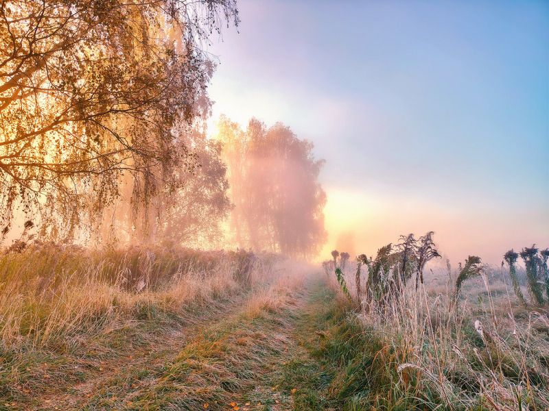 беларусь, дорога, заморозки, иней, минск и окрестности, осень, рассвет, река, свислочь, сентябрь, туман, утро Первые заморозки. Пойма Свислочиphoto preview