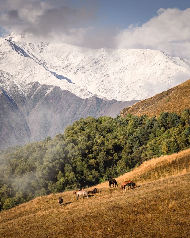 Tsei Loamphoto preview