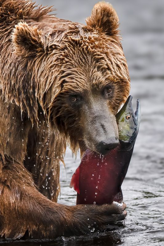 портрет с неркойphoto preview