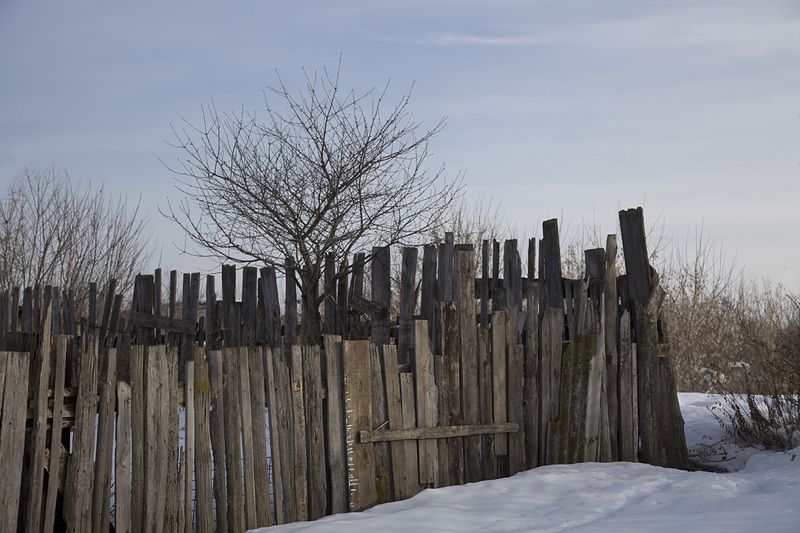 весна март Зимний садphoto preview