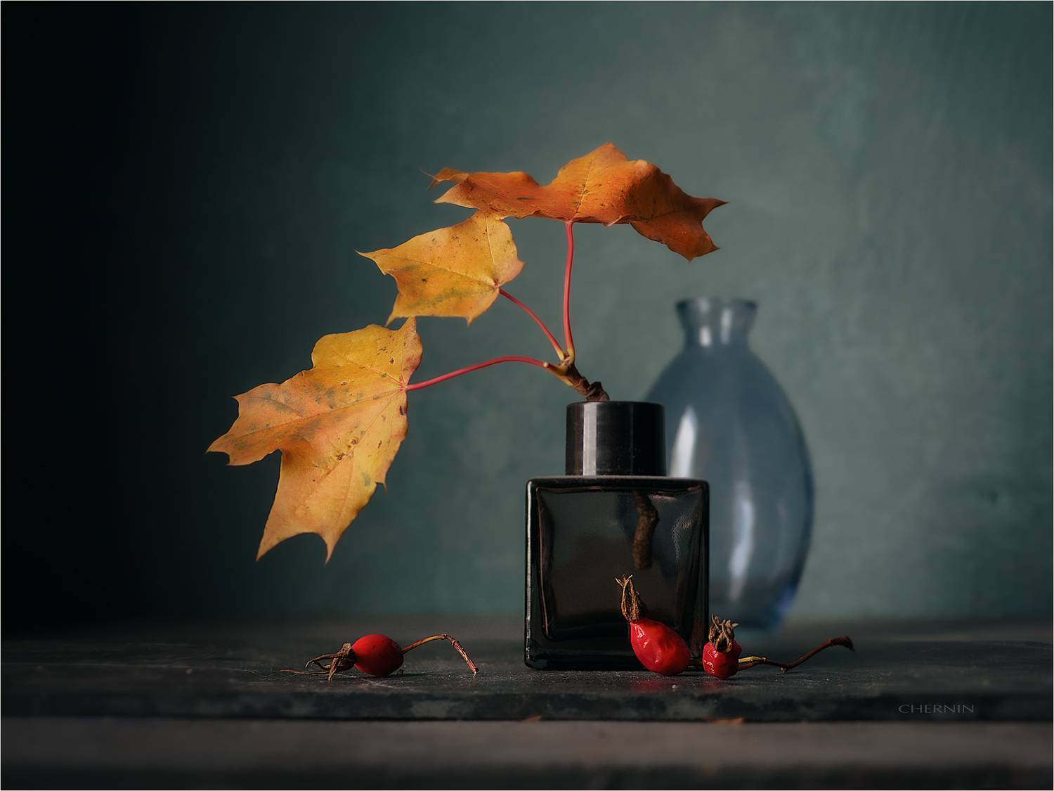 , Чернин Дмитрий