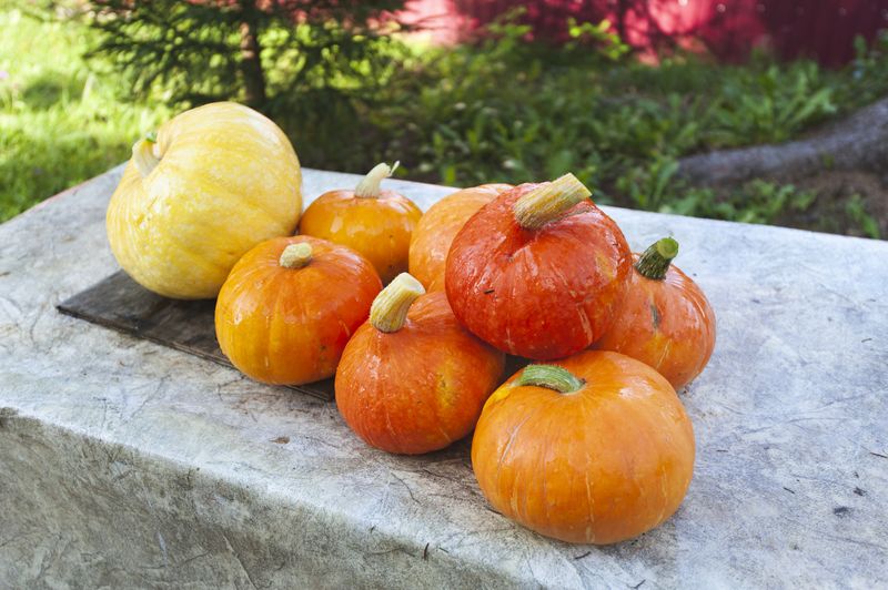 Урожайphoto preview