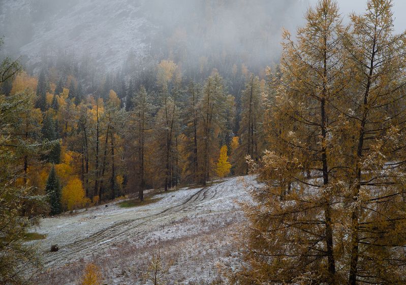 осень на перевалеphoto preview