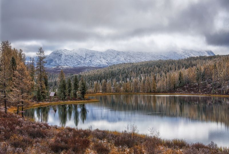 Первый снегphoto preview