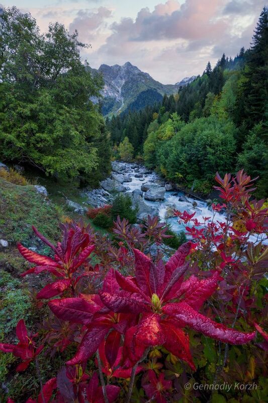 Autumn in Svaneti. Georgia 2025photo preview