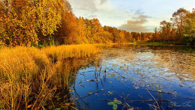 Костромской край: на водеphoto preview