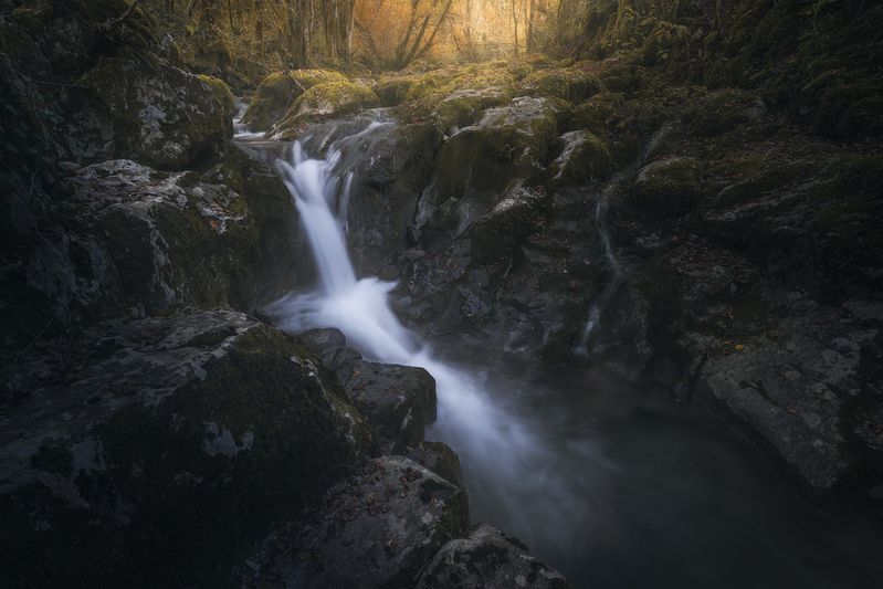 Shadowfallphoto preview