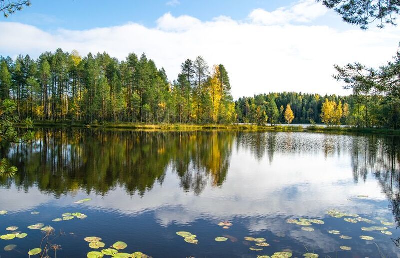 Большое Шелексозероphoto preview