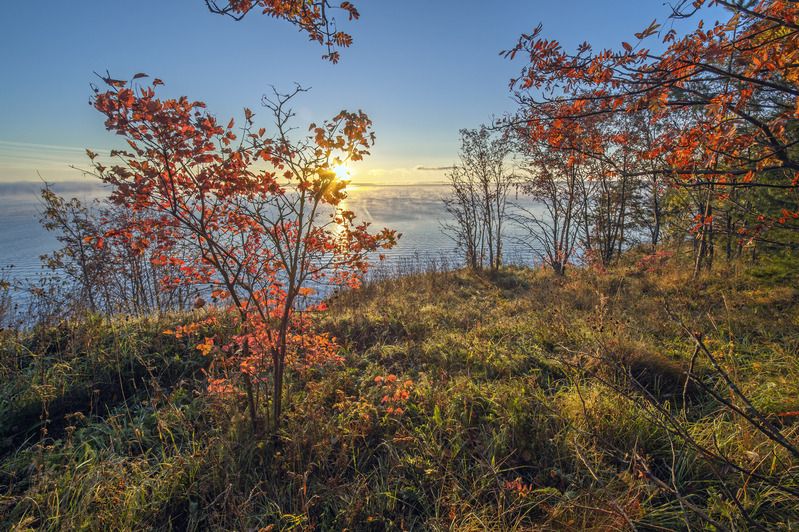 Осеннее утро .photo preview