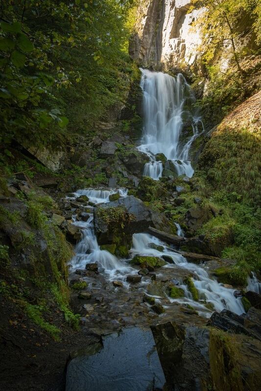 Портфолиоphoto preview