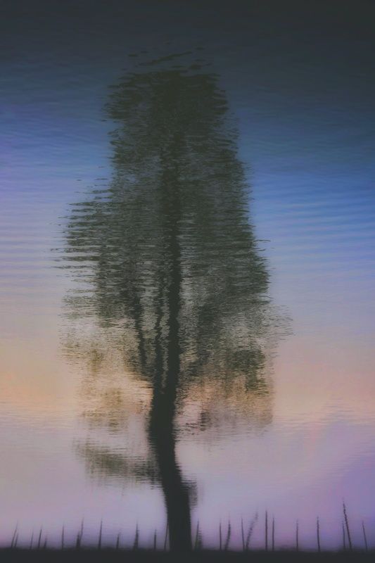 abstract Reflectphoto preview