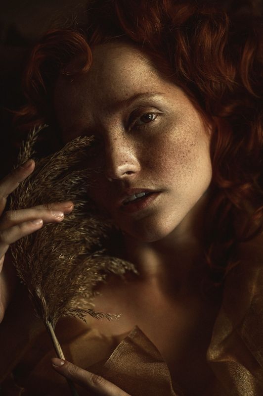 Golden hourphoto preview