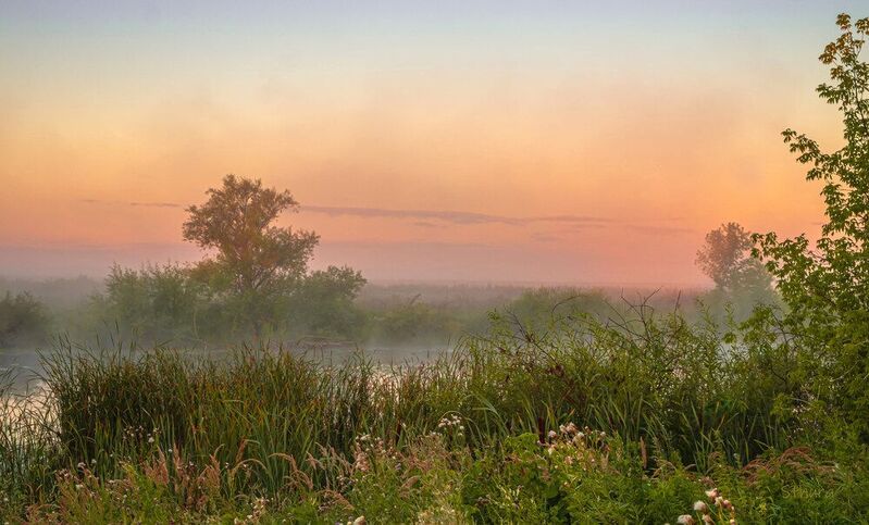 лето озеро рассвет туман природа пейзаж Утро на озере.photo preview