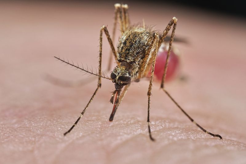 Feeding time...photo preview