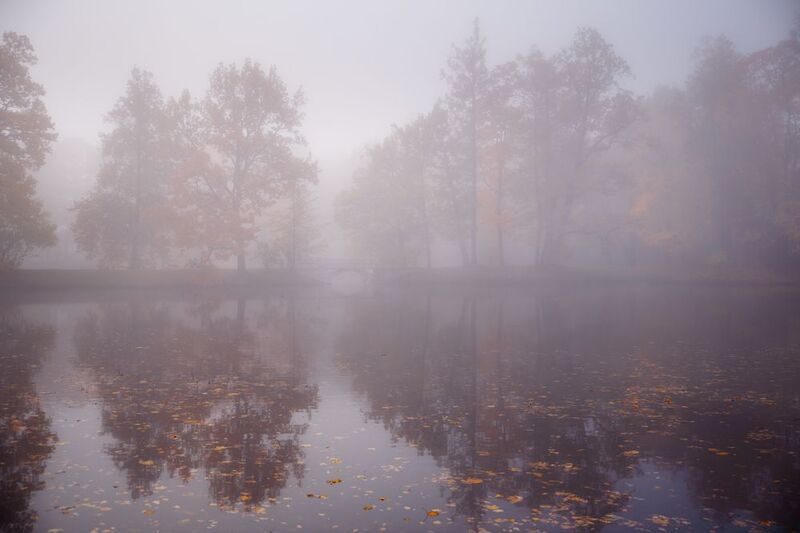 осень в Царском селе...photo preview