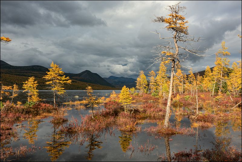 Осень на Джекеphoto preview