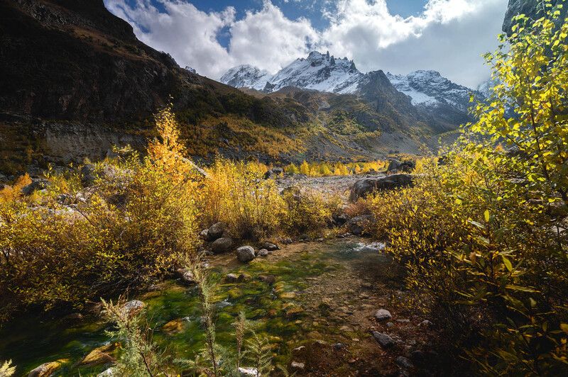 Родникphoto preview