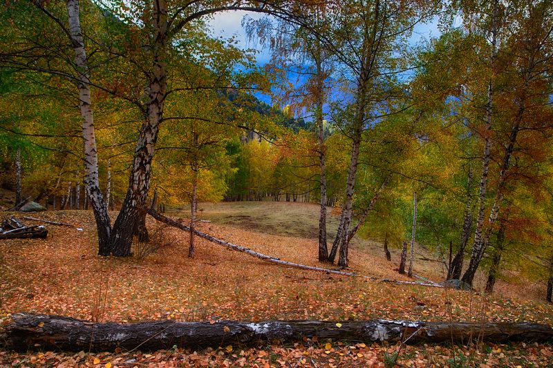 кыргызстан, ала-арча Палитра сентябряphoto preview