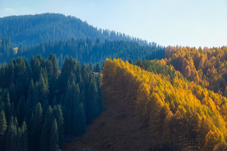 кыргызстан, чон-кемин Взлетphoto preview