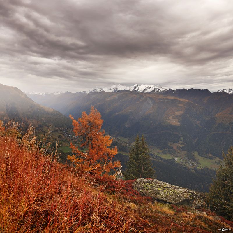 swiss Осень..photo preview