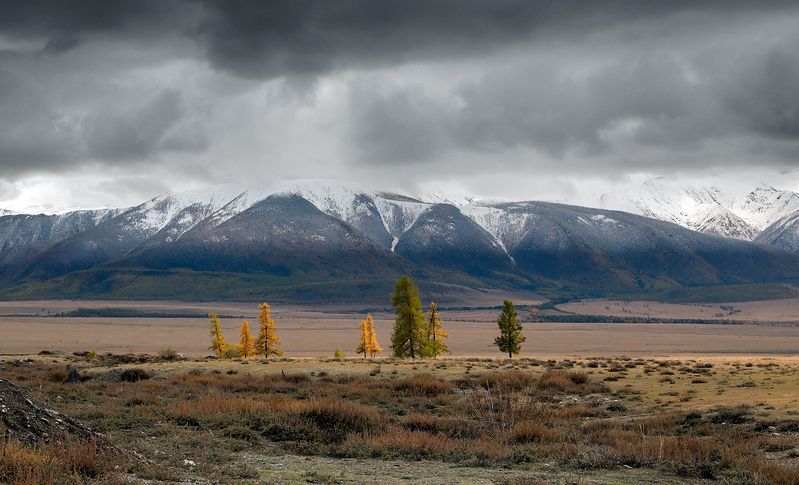 Холодает...photo preview