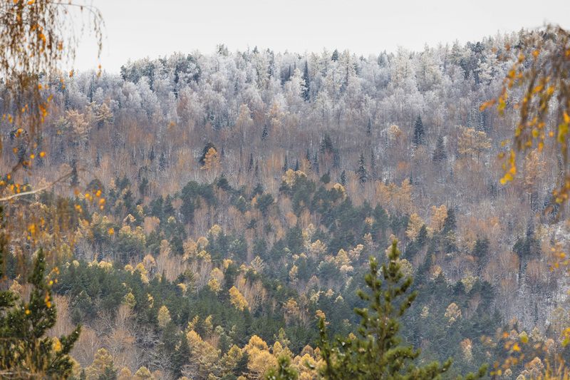 Дыхание грядущей зимыphoto preview