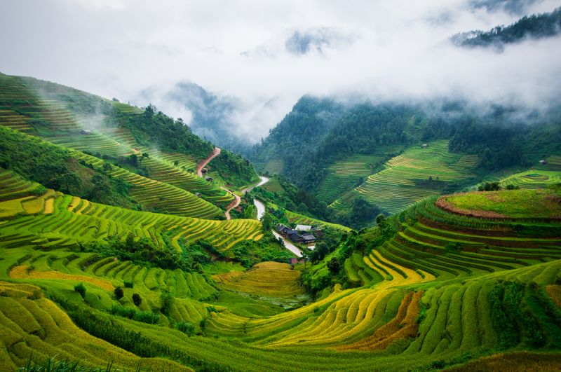 Beautiful, Clouds, Field, Fog, Landscape, Mountains, Nature, No, Northwest of Vietnam, Sky, South east asia, Valley, Vietnam, Way Valley fogphoto preview
