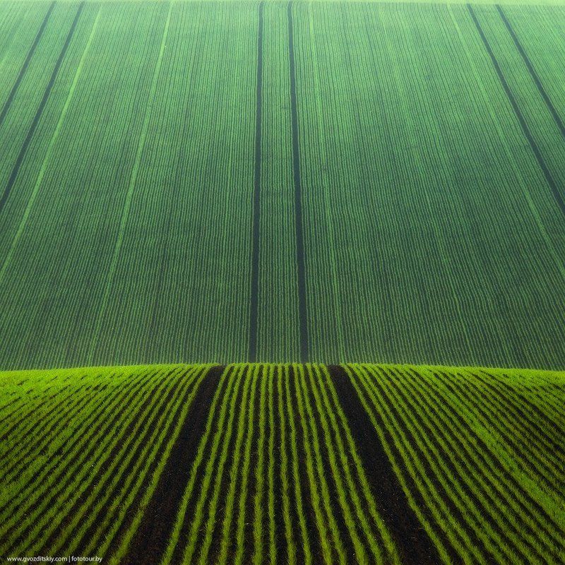 поле, моравия, холмы, рельеф Геометрияphoto preview