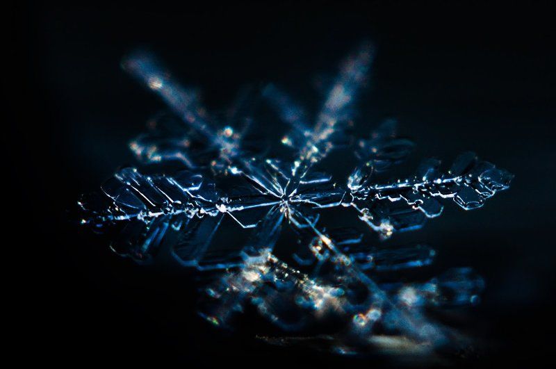 макро, снег, снежинка, зима, мороз, macro, snow, snowflake photo preview
