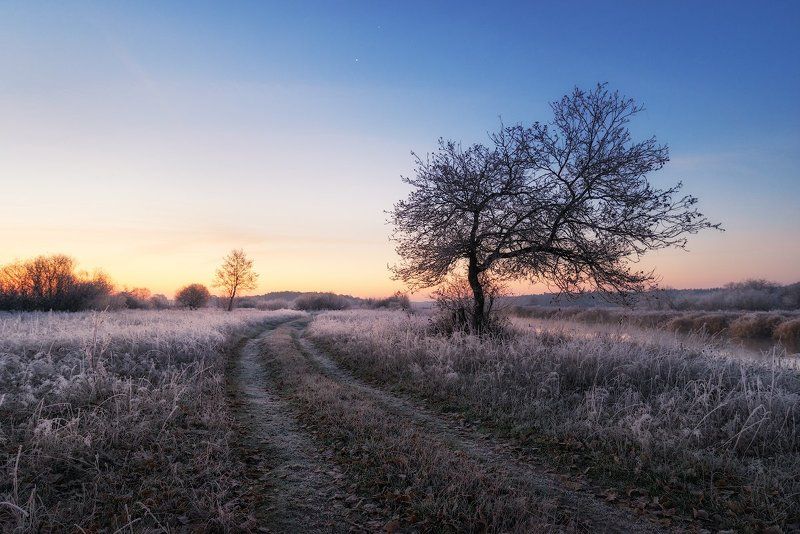 Посеребрилоphoto preview