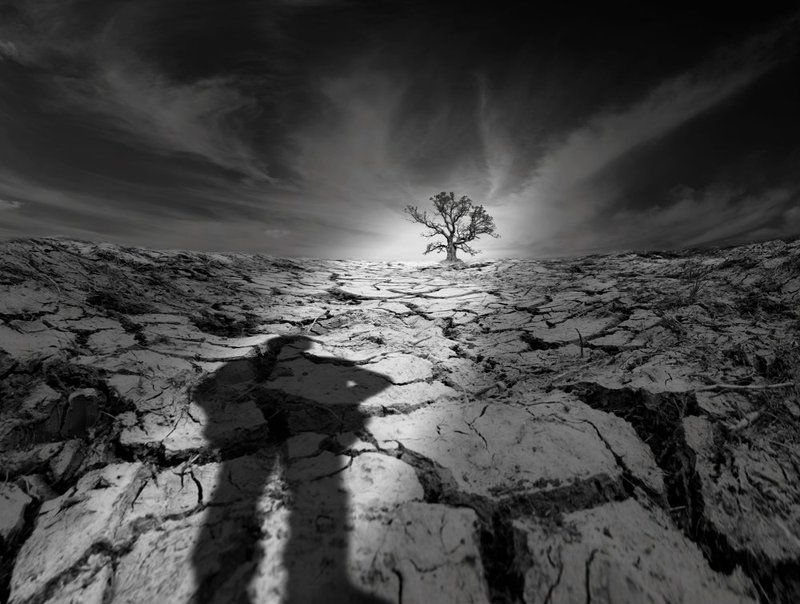 Shadows of my mindphoto preview