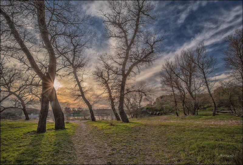 весна,река,вечер *photo preview