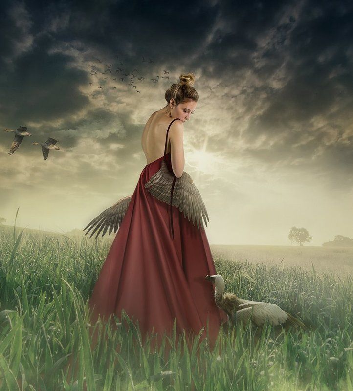 Научите меня летатьphoto preview