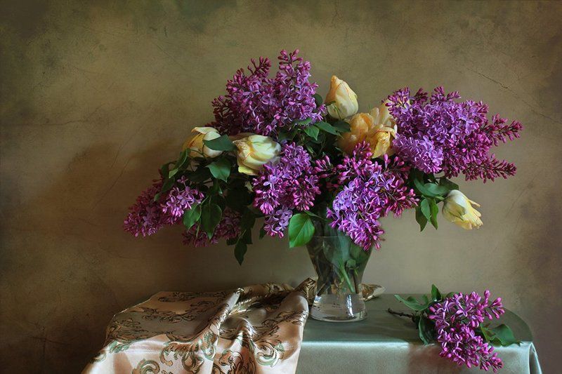 Сирень фото превью