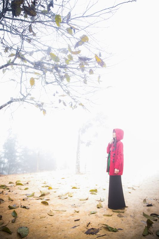 Deciduous, Dream, Fairy tale, Fog, Girl, Light, Portrait, Red, Sad, Sadness, So sad, Tree, Wb, Wind, Winter, Yellow Girl Fairy talephoto preview