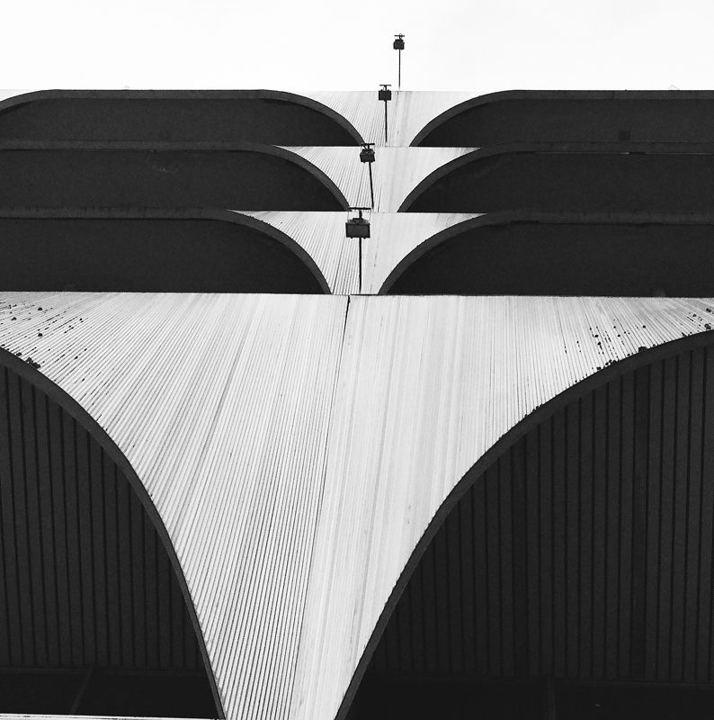 minimalism, koshkinotime, dmitriysosna, sosna * * *photo preview