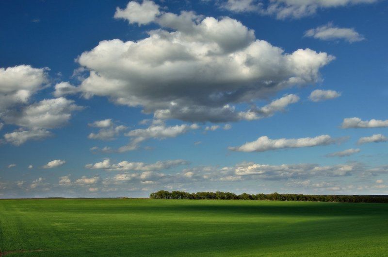 Куда плывут облака?photo preview